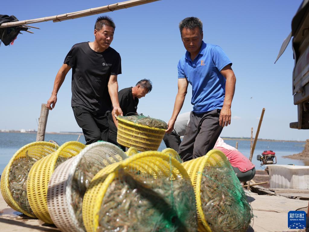 新浦萄京棋牌